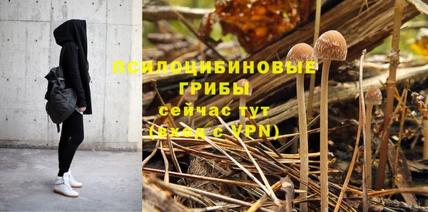ГАЛЛЮЦИНОГЕННЫЕ ГРИБЫ Пролетарск