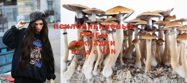 бутират Алексеевка