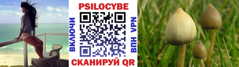Галлюциногенные грибы Magic Shrooms купить наркоту Звенигово