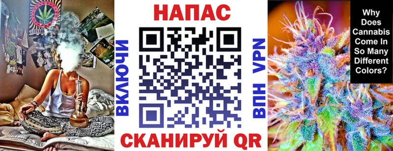 Каннабис сатива Звенигово
